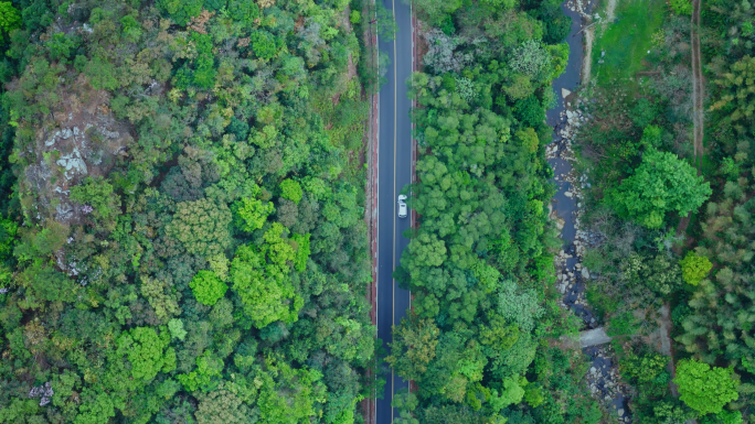 航拍森林山路开车旅行弯道公路汽车行驶