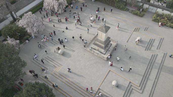 青龙寺西安春日樱花航拍8