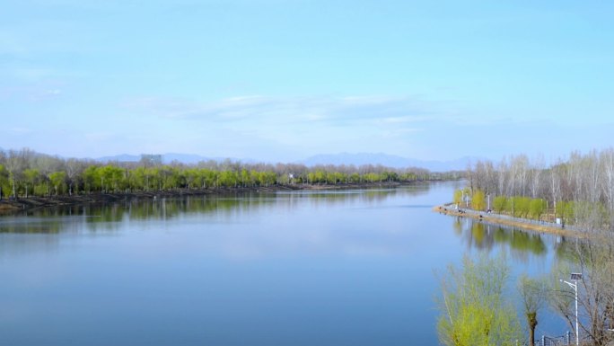 潮白河 顺义潮白河 春天景色