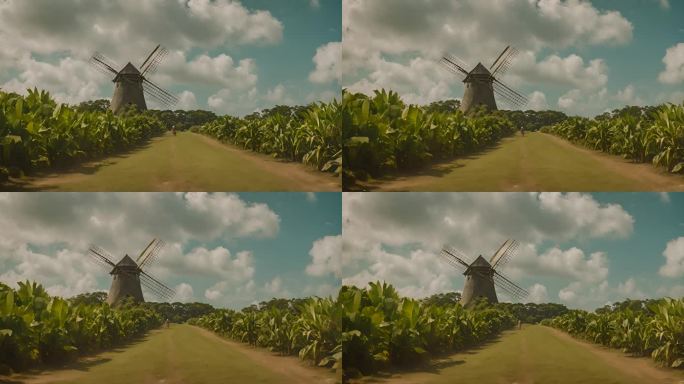 美洲巴巴多斯岛种植园农民风车
