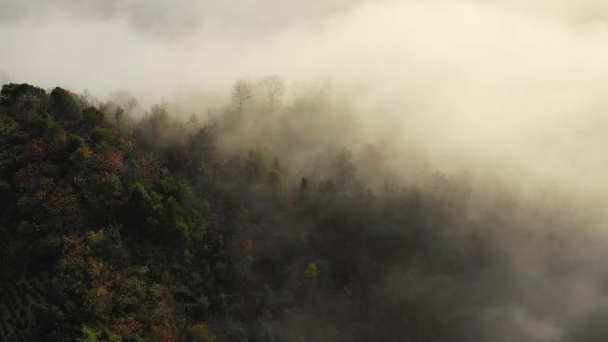 4K航拍皖南318坡山村