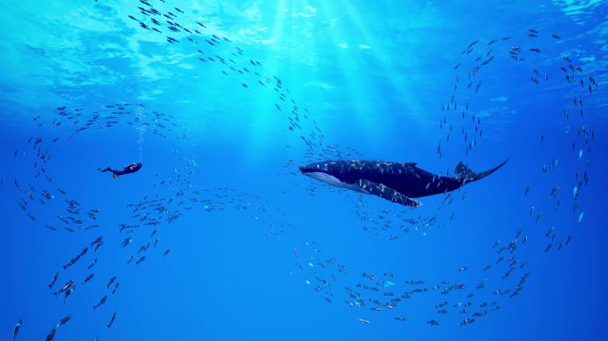 4k鲸鱼海底鱼群