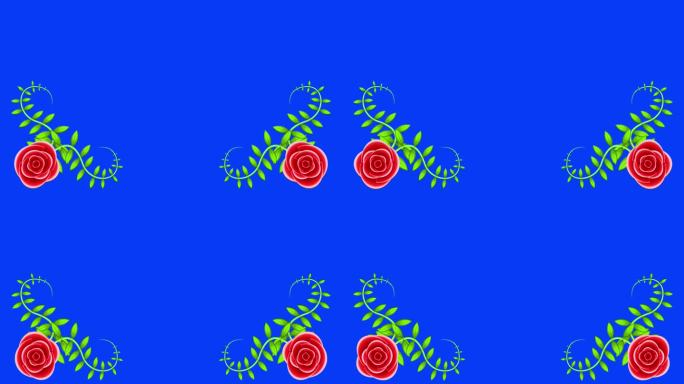 美丽的玫瑰动画在蓝色的背景