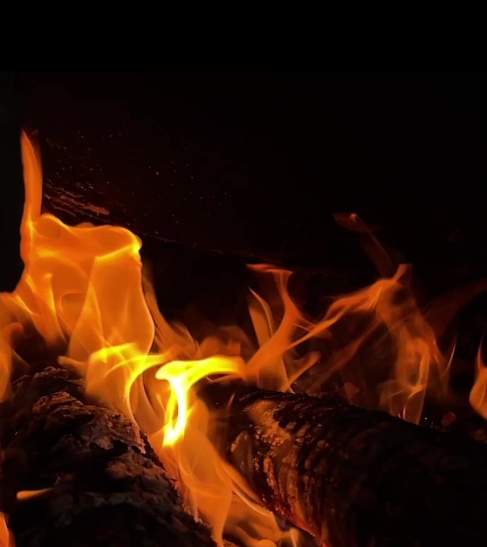 竖屏柴火素材炭火烧火熊熊烈火燃烧的火焰