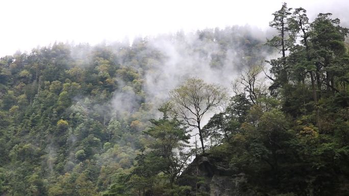 雨后秋天的峡谷风光