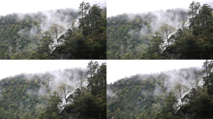 雨后秋天的峡谷风光