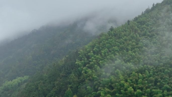 4K航拍大山山峦森林云雾环绕