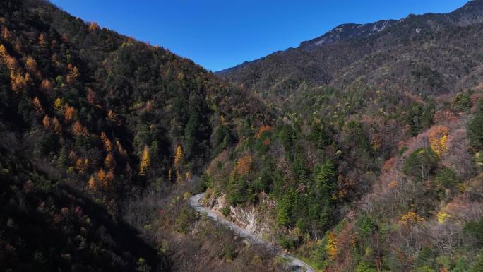 秦岭山水森林日出云海