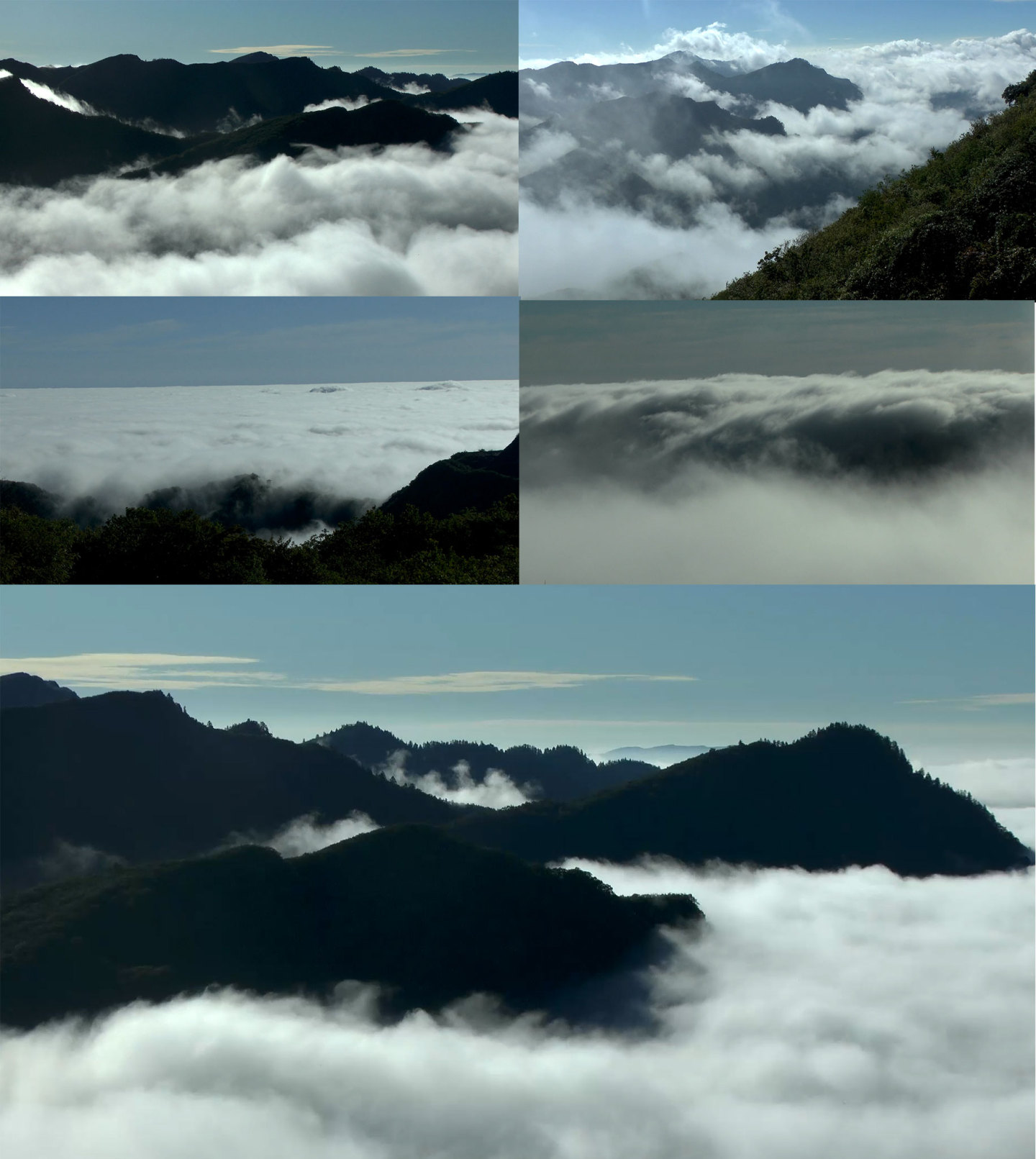 秦岭极简云海空镜山川森林云水墨极简风景