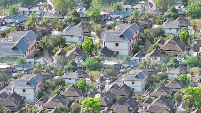 4K-Log-航拍傣族村寨，曼掌村