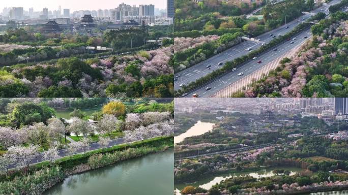 【商用4k合集】花城广州海珠湿地文化馆