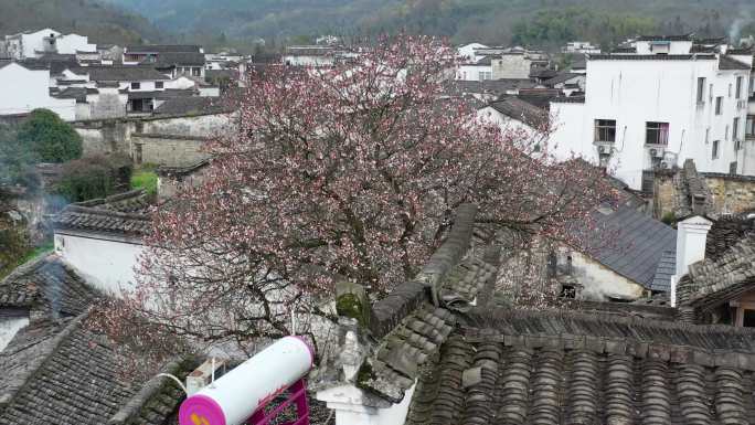 查济古民居航拍皖南徽派建筑古建筑群05