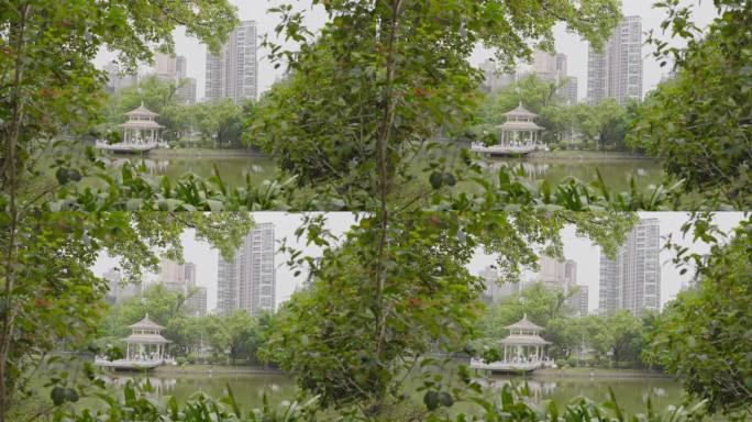 4K实拍，广州天河公园湖边凉亭市民在歌唱