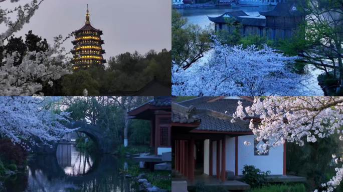 航拍杭州西湖三月樱花风景春天大片宣传片