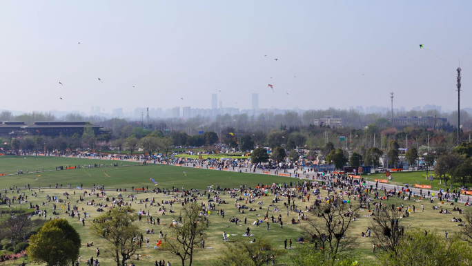 春天 风筝 放风筝 万人放风筝 春游