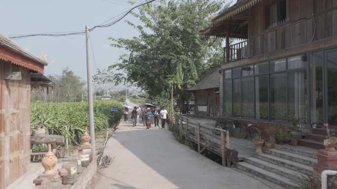 4K-Log-航拍傣族村寨，曼掌村