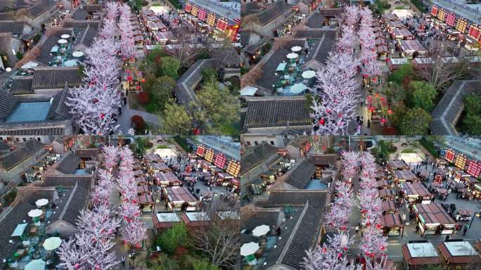 春天古建筑樱花与灯笼夜景航拍徐州市回龙窝