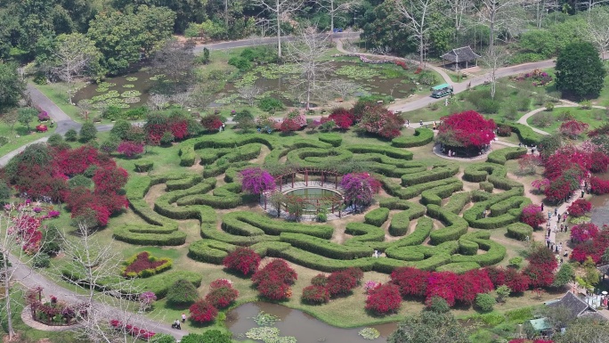 4K-Log-航拍中科院热带植物园百花园