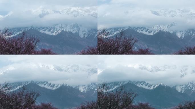 桃花雪山南迦巴瓦 桃花 乌云