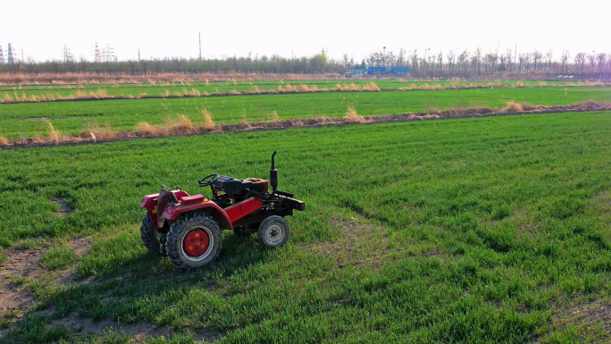 春天春播播种耕种春耕农业小麦水稻现代农业