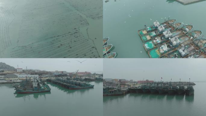 4k航拍 渔船码头 海产养殖 鲍鱼养殖