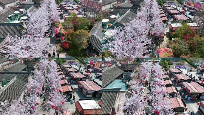 春天古建筑樱花与灯笼航拍徐州市回龙窝