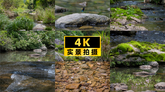 初夏溪语：山涧草树葱茏，野花倒影小鱼欢游