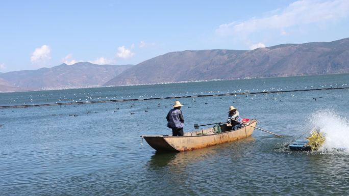 洱海船夫