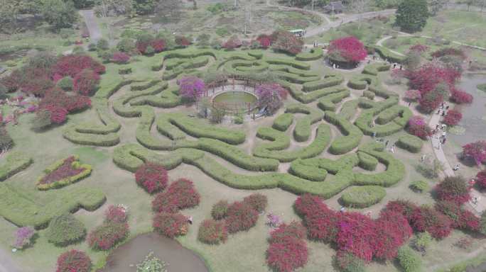 4K-Log-航拍中科院热带植物园百花园