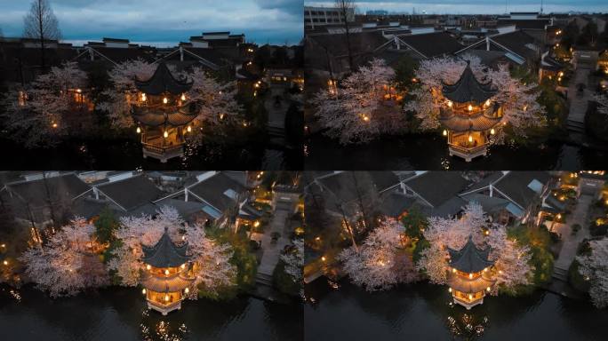 春天杭州樱花盛开的梦溪苑夜景