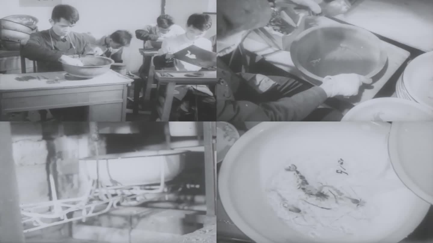 50年代搪瓷盆手工制作影像