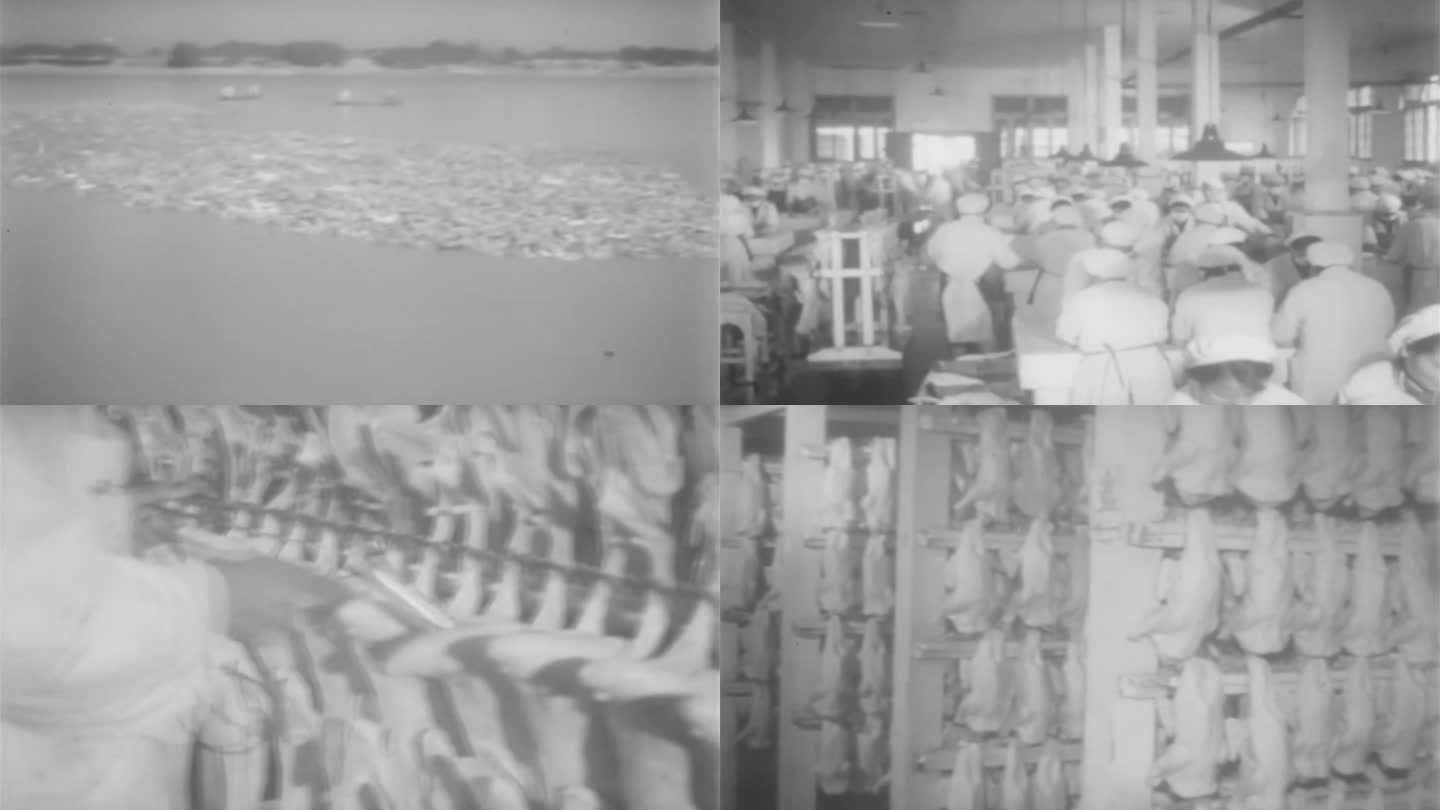 50年代鸭子的养殖和加工视频