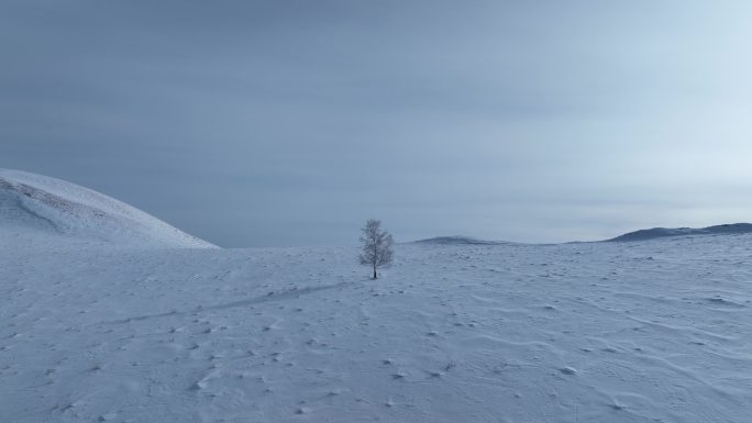 航拍呼伦贝尔大雪原白雪皑皑