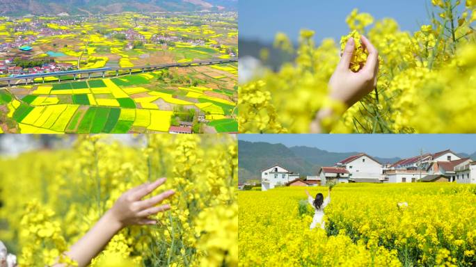 汉中洋县油菜花海女孩