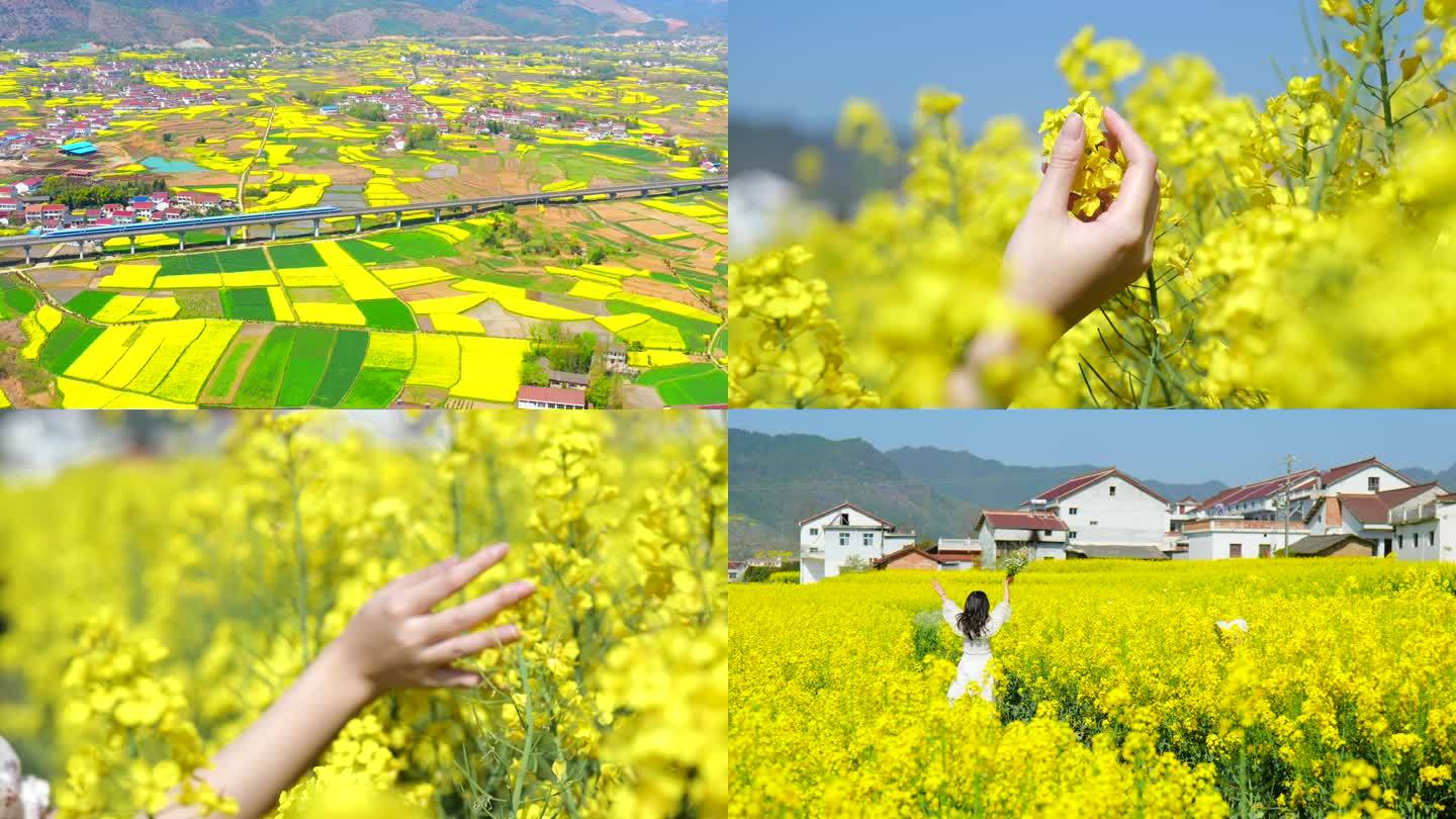 汉中洋县油菜花海女孩