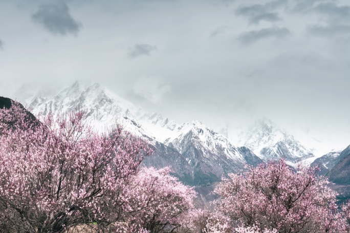 桃花 雪山 南迦巴瓦 乌云 延时