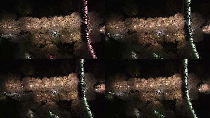 夜晚无人机航拍浙江省宁波市鄞州区樱花公园