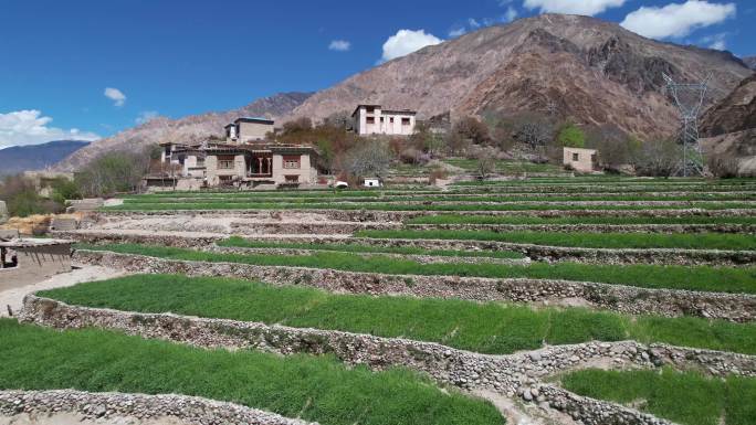 西藏农户梯田种植、村庄航拍