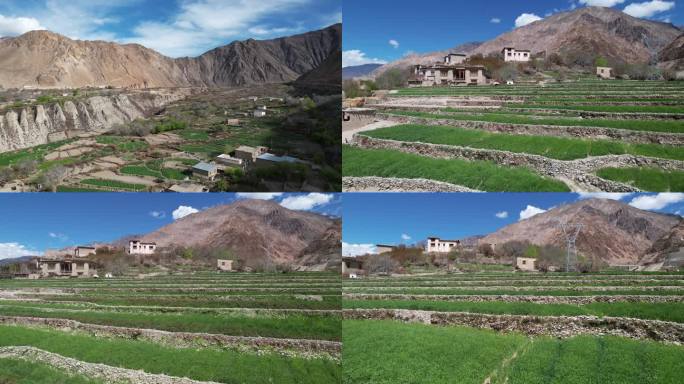 西藏农户梯田种植、村庄航拍