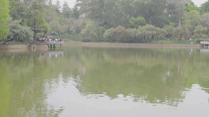4K实拍广州天河公园湖边凉亭市民在唱歌