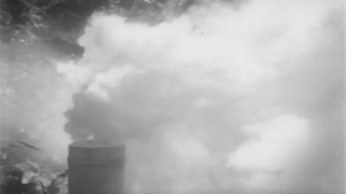 50年代林场烟雾灭虫视频