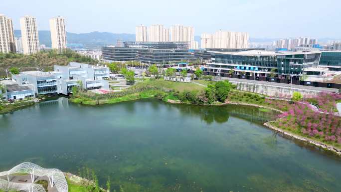 重庆科学城 凤鸣湖公园4K