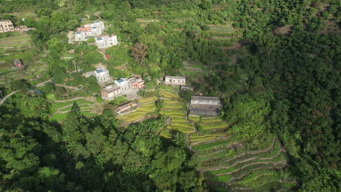 惠东角峰梯田风光