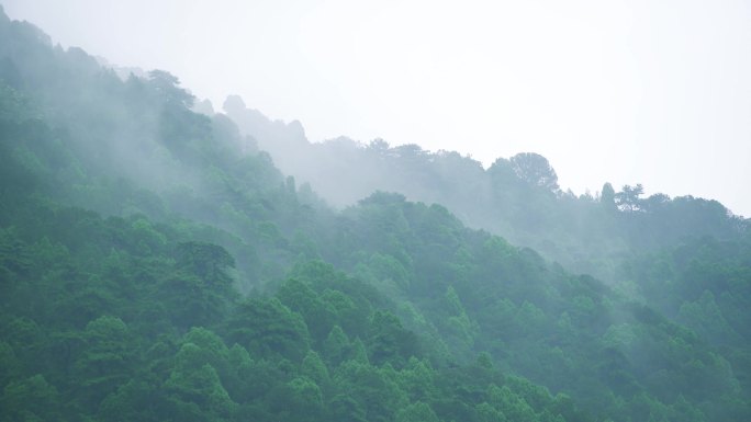 山间云雾 雨后山林 山区云雾 天然氧吧