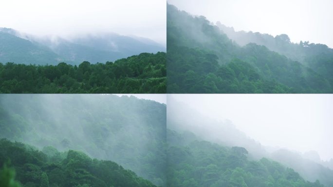 山间云雾 雨后山林 山区云雾 天然氧吧