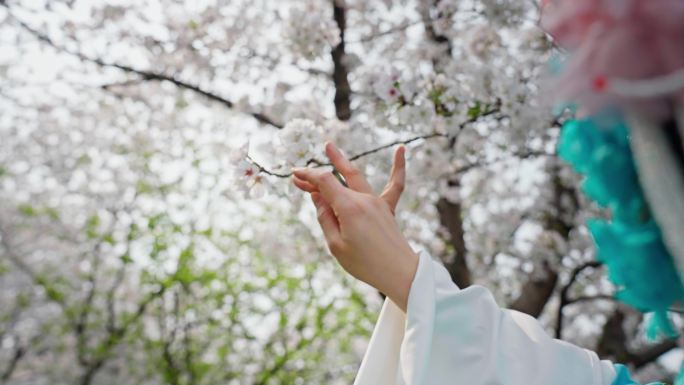 【实拍素材】戏曲樱花 手部特写