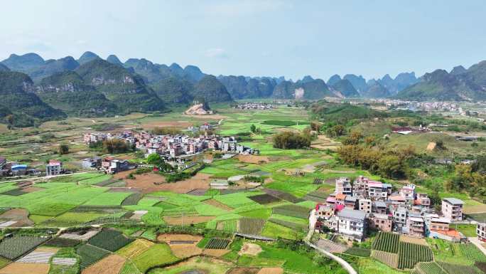 广西农村航拍乡村振兴田园风光水稻田耕地