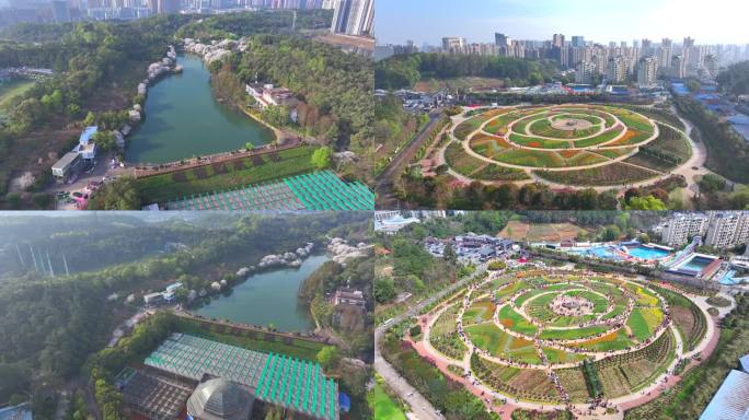 湖南省植物园 人流 延时 大景