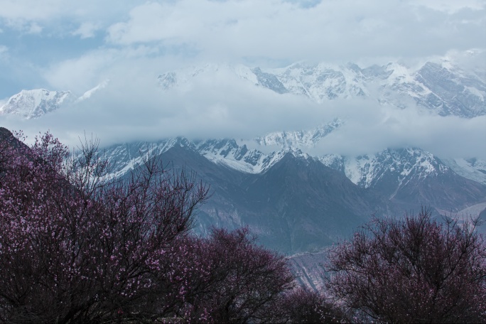 桃花 雪山 南迦巴瓦 乌云 延时