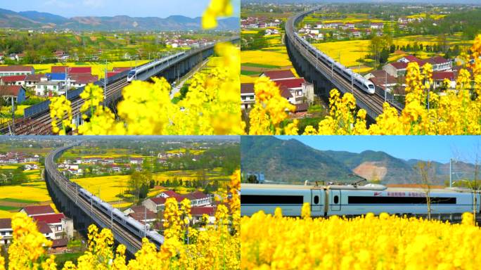 汉中开往春天的列车油菜花
